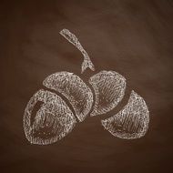 acorns icon N3