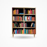 Bookcase with Books Icon Vector Illustration N2