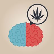 Brain Illustration N90