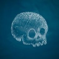 Skull Icon N13