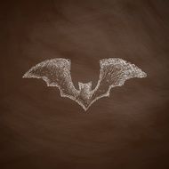 bat icon N10