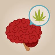 Brain Illustration N101