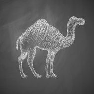camel icon N6