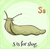 letter s N54