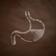 stomach icon N6