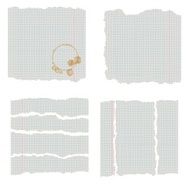 scraps of pages a school notebook in cage