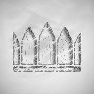 Crown Icon N13