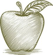 Woodcut Ripe Apple