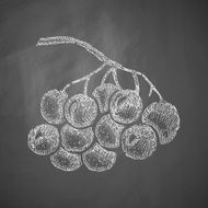 berries icon N3