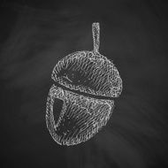 Acorn Icon N5