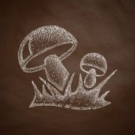 mushrooms icon N2