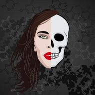 half face skull
