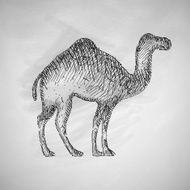 camel icon N8