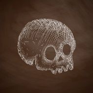 Skull Icon N15