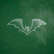bat icon N13