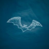 bat icon N15