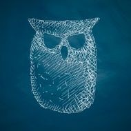 Owl Icon N10