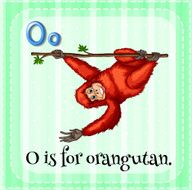 Letter O N27