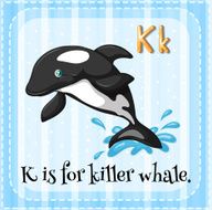 Letter K N18