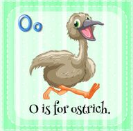 Letter O N28
