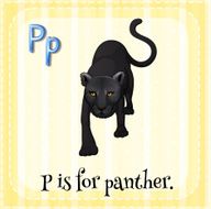 Letter P N49