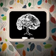 Tree Illustration - Sketch on Blackboard