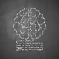 Brain Icon N16
