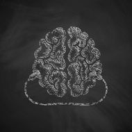 Brain Icon N17