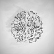 Brain Icon N19