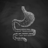 stomach icon N8