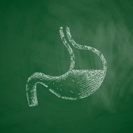 stomach icon N9