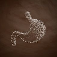 stomach icon N10