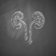 kidneys icon N6