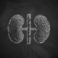 kidneys icon N7
