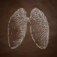 lung icon N6