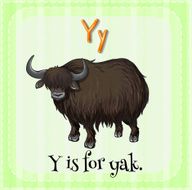 Letter Y N16
