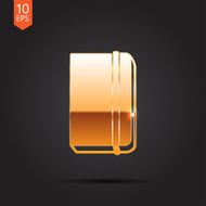 Vector gold icon N24