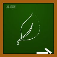 Vector leaf icon Eps10