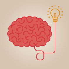 Brain Illustration N15