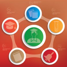 Education info graphic design clean vector N7