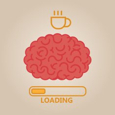 Brain Illustration N19