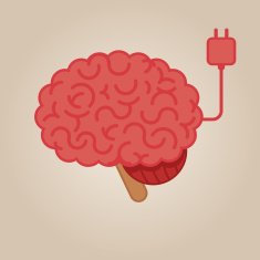 Brain Illustration N20