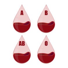 Drops of blood with typed groups