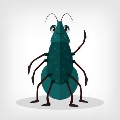 Vector beetle flat illustration N2
