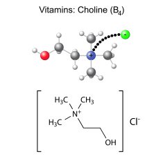 Structural chemical formula and model of vitamin choline - b4
