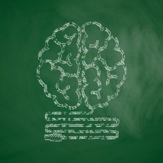 Brain Icon N12