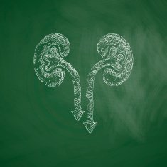 kidneys icon N4