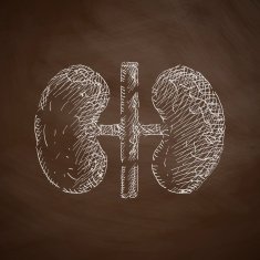 kidneys icon N5