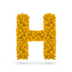 3d yellow leaves alphabet H
