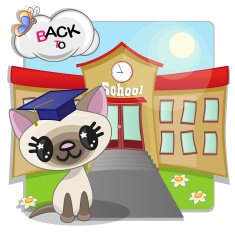 Cat and school N2